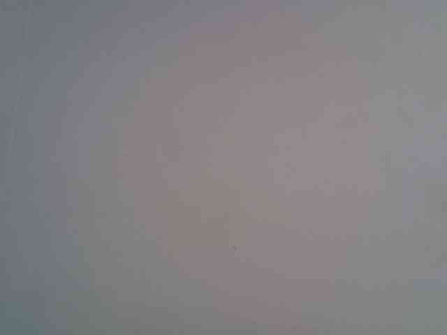 jesicakimani webcam
