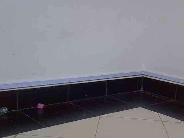 jesicakimani webcam