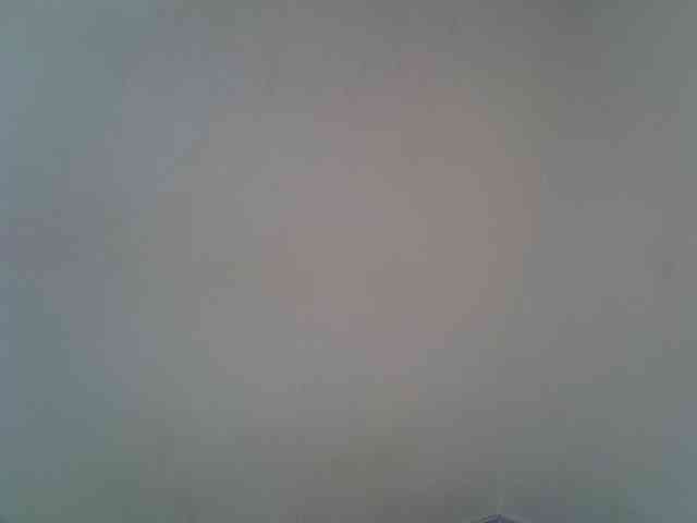 jesicakimani webcam