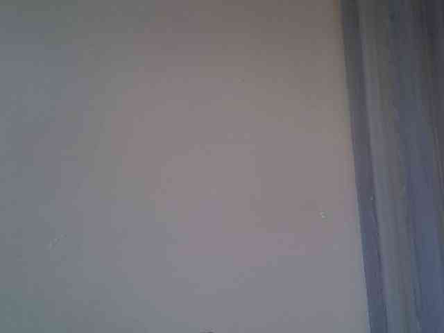 jesicakimani webcam