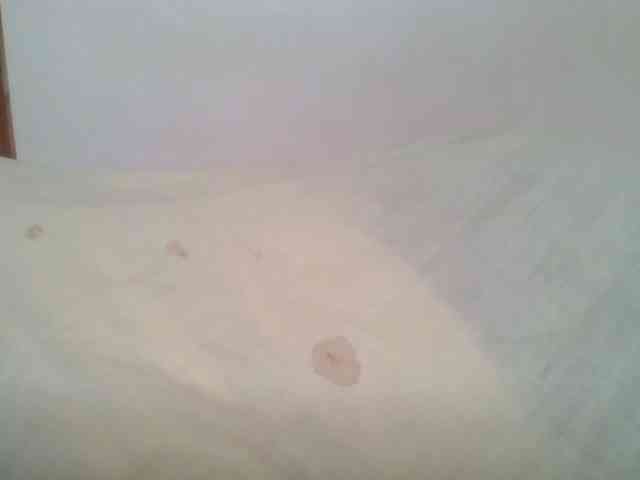 jesicakimani jesicakimani