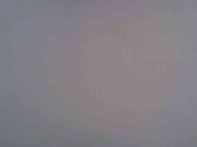 jesicakimani webcam
