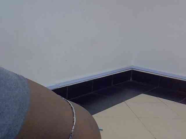 jesicakimani webcam