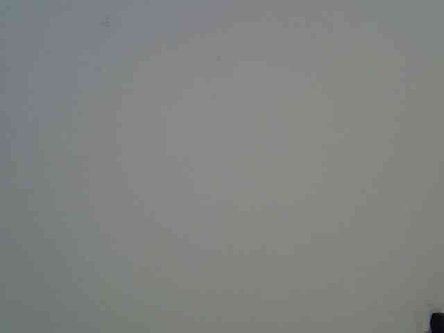 jesicakimani webcam
