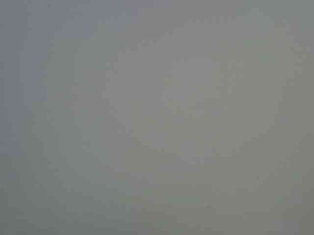 jesicakimani webcam