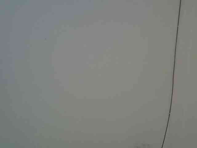 jesicakimani webcam