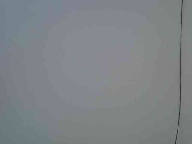 jesicakimani webcam