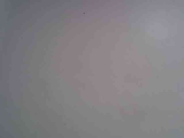 jesicakimani webcam
