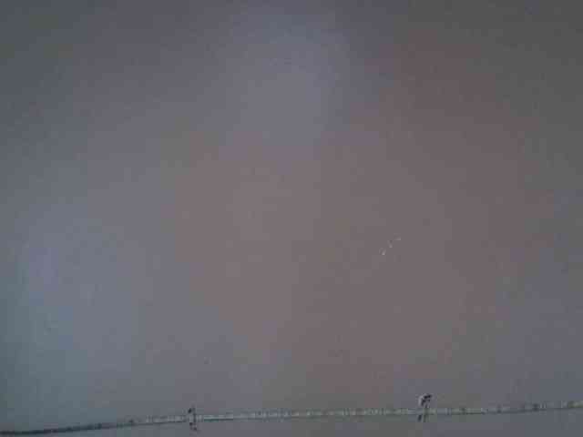 jesicakimani webcam