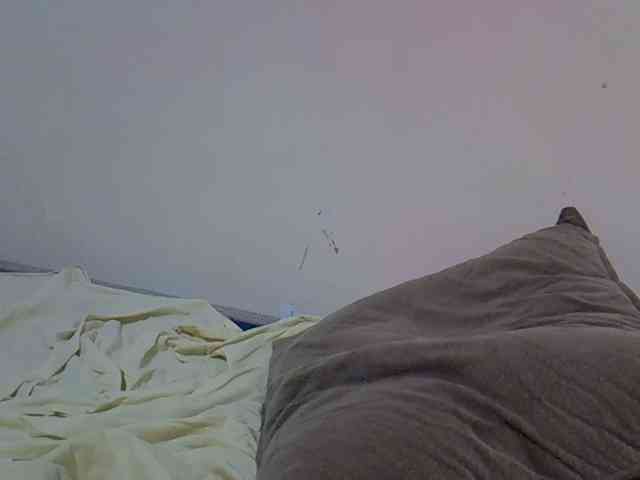 jesicakimani webcam