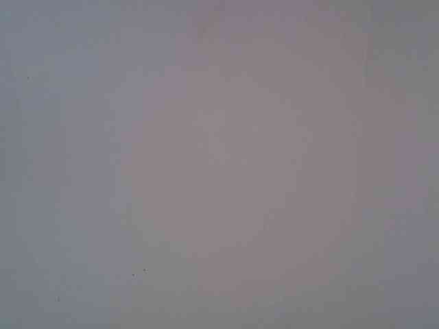 jesicakimani webcam