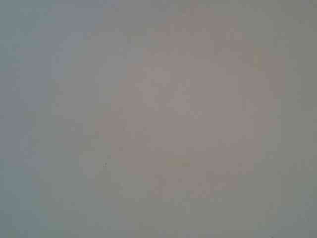 jesicakimani webcam