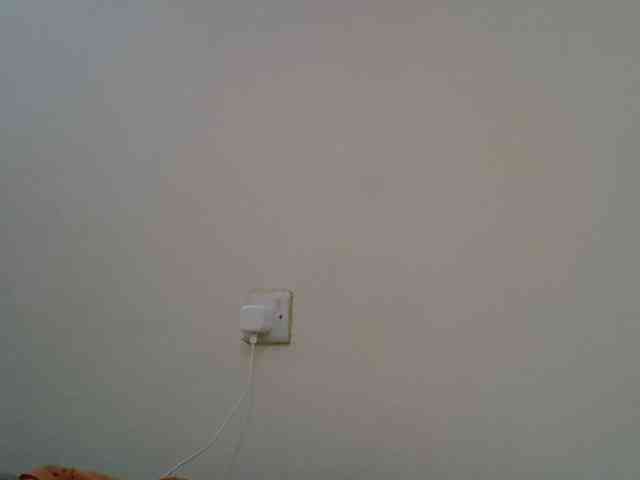 jesicakimani webcam