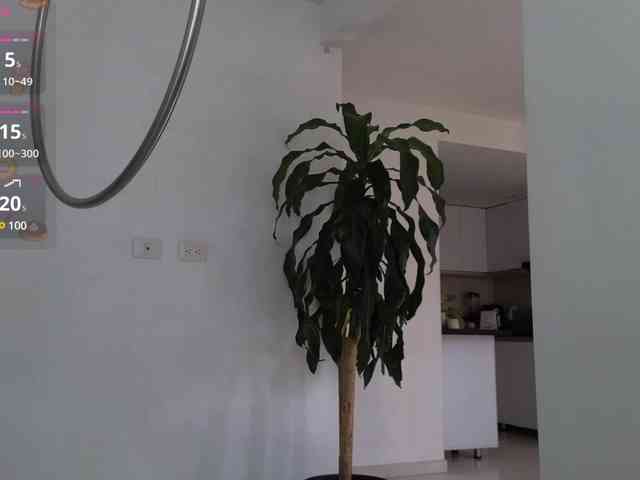 GreenAngell webcam