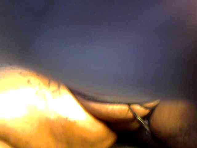 sweetvanilla1999 webcam