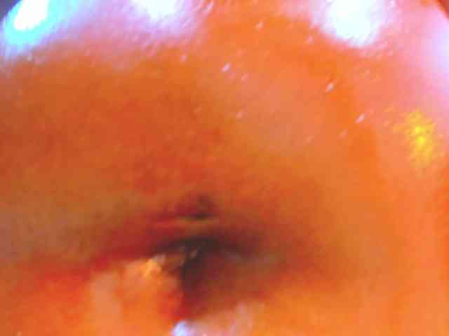 natashaeva natashaeva