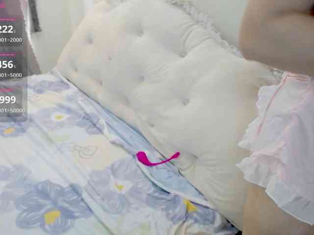 Vanana webcam