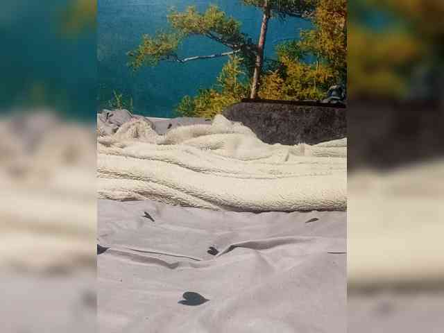 Angelbs1 Live Webcam on BongaCams