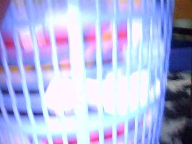 Cute-vee webcam