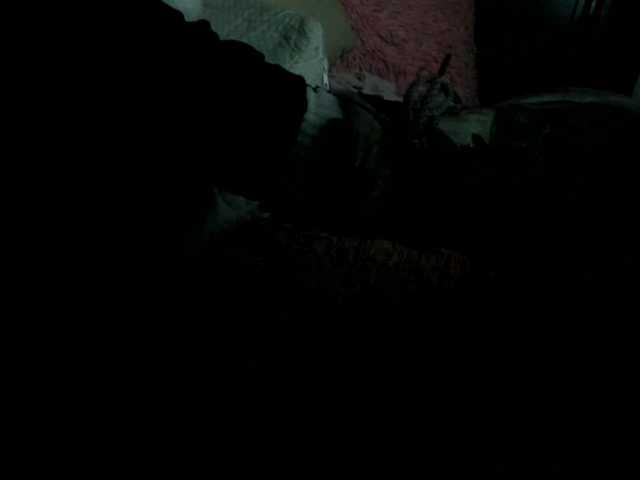 sarahlynn2005's BongaCams show and profile