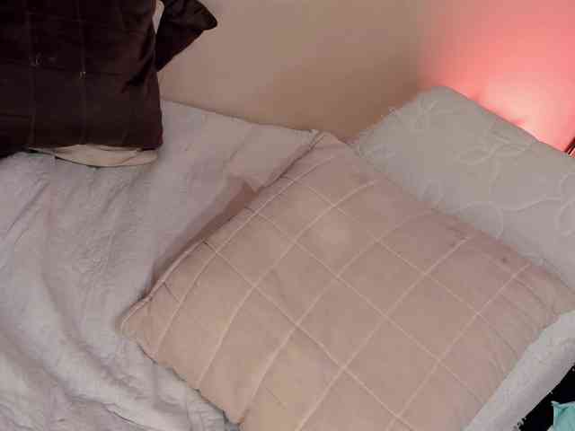 sarah_lynn webcam