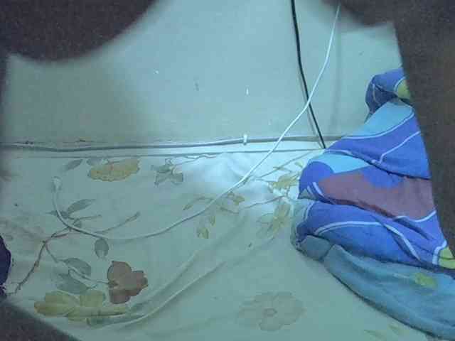 Angelicanne Angelicanne