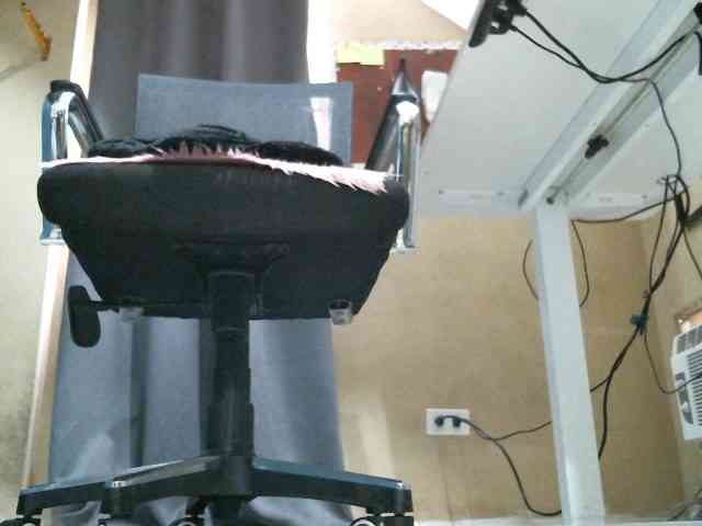 GoddessArax webcam