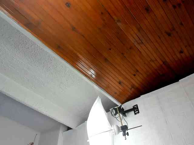 jones-scarlet webcam