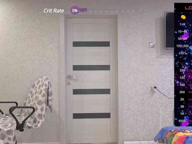 MAMULY webcam