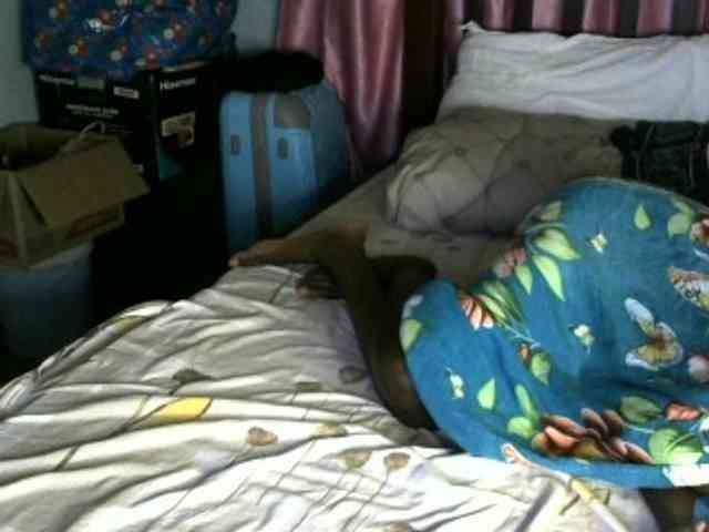 Sexlover24 webcam