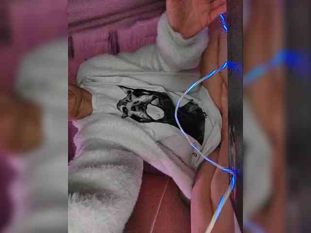 Evangelina2909rus webcam