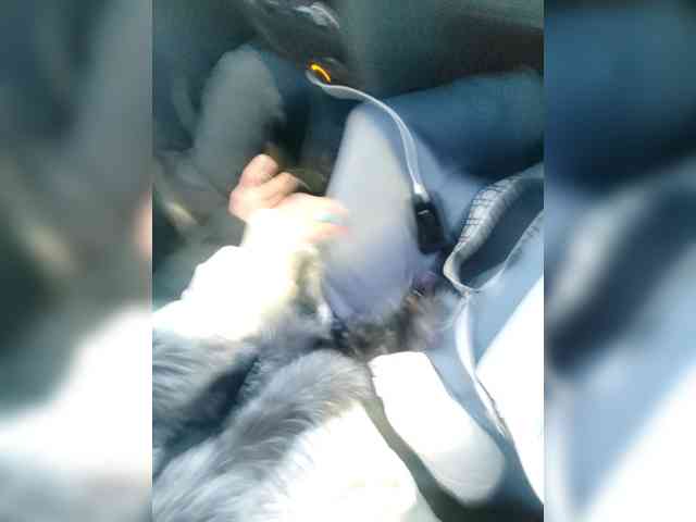 evangelina2909rus evangelina2909rus