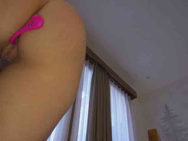 Timissi webcam