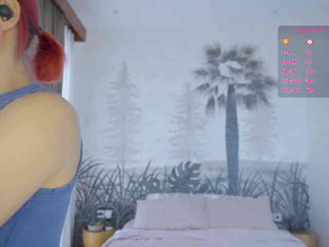 Timissi webcam