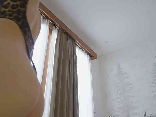 Timissi webcam