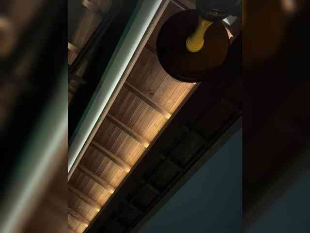Nestyzz webcam