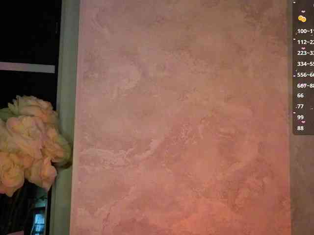 Nestyzz webcam