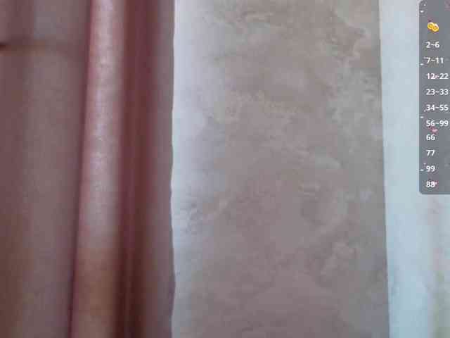 Nestyzz webcam