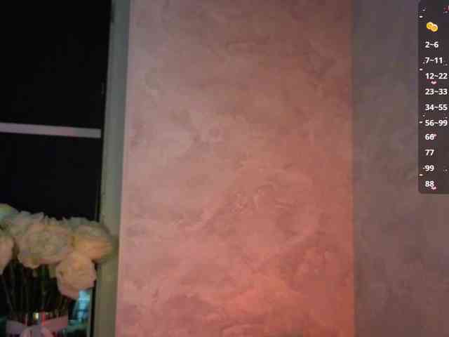 Nestyzz webcam