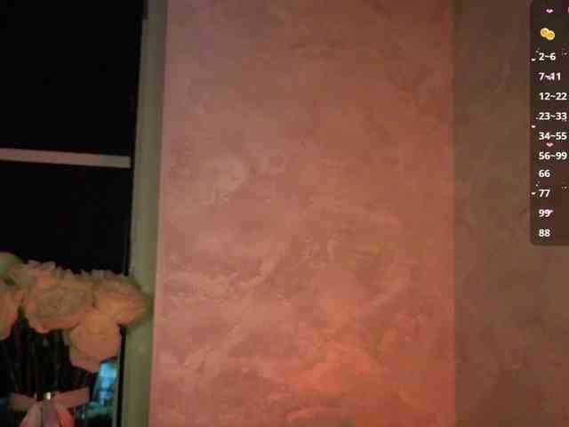 Nestyzz webcam