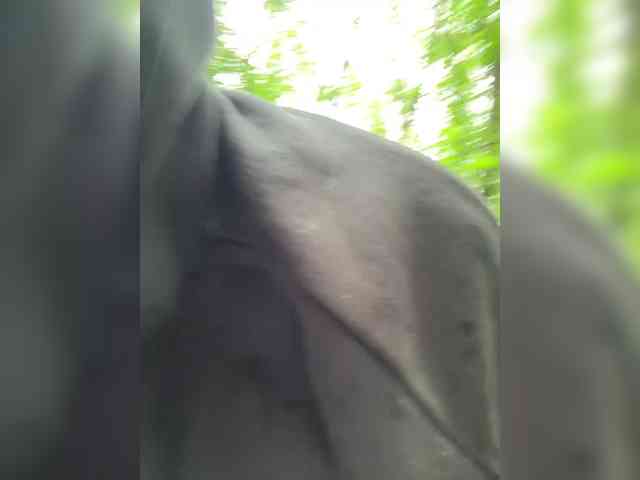 BabyDarii webcam