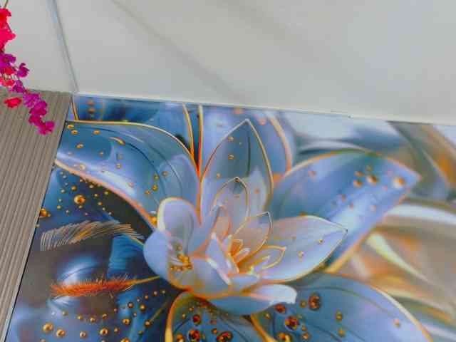 almendraevans webcam