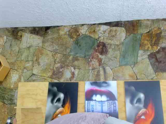 geema webcam