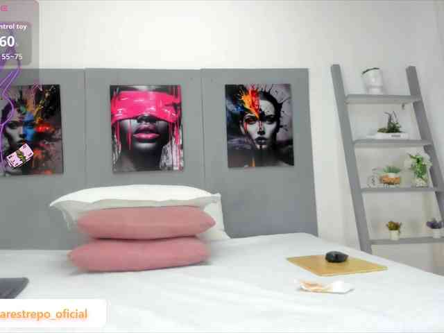 geema webcam