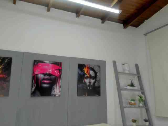 geema webcam
