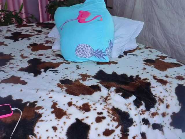 MissnewXXX's BongaCams show and profile