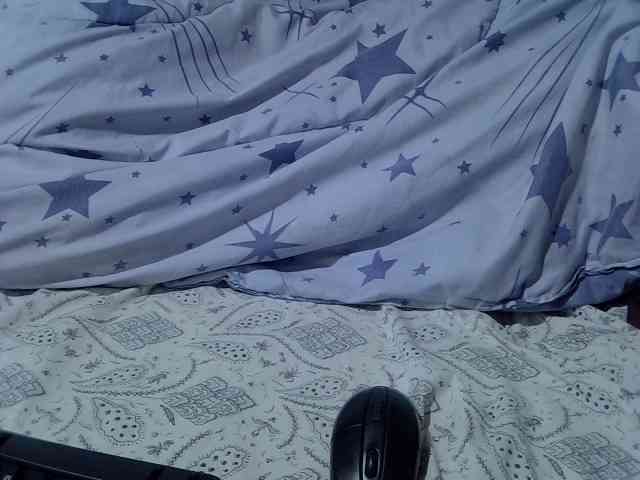Sweetsonya2 webcam