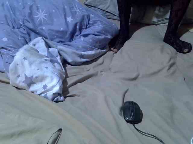 Sweetsonya2 webcam
