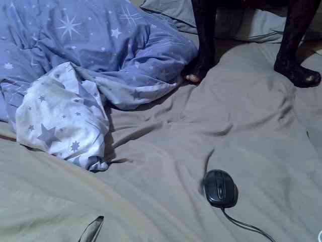 Sweetsonya2 webcam