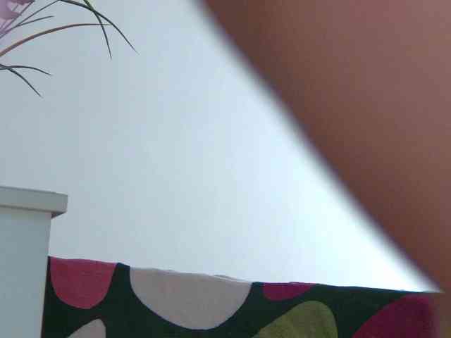 Foxxxy-MILF webcam
